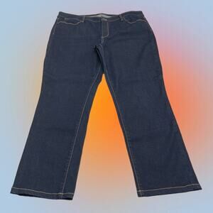 TALBOTS Women’s 16 Straight FLAWLESS FIVE POCKET Blue Jeans